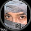 ashrafashraf9684