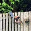 birdfeedercamera66