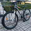 ligno11