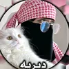 user9814381850920