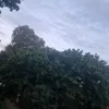 n_hamburg8