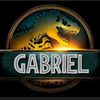gabriel_zx126apextci8