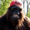 bigfootvstheworld