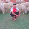 user2603788250705