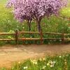 user13071733598021