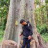 elxx_max