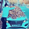 yuns_174