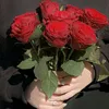 gggg_1151