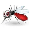 mosquito_240