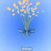 em.x1173