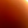 livehalibut1