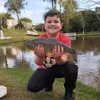 arthurfavarao7