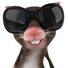 skinnyrattheweirdrat