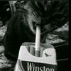 topic_096