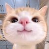 natnat_2406