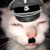 seigfried.mller