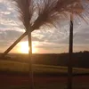 gabriele_proenca123