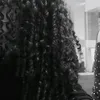 santtorizz