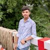 limon.taj4