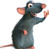 remy196_