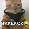 dafahafiz96