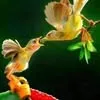 thang.duong343