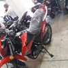 moise.blz