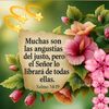 user9092778868158