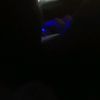 kbyy_antxnio17