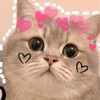 itsmesan1712