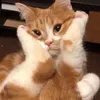 duongbowww