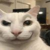 cheesele4