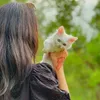 anayaprincess.56
