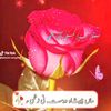 hussain.bux9446