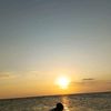 akun.ml8368