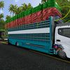 ar078567899933