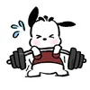 the_boy2447