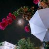 alamil_6