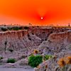 shareni63