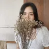 nikki.diaries