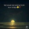 user531849273431