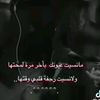user8303529046877