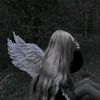 delykey8