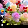 user4359219572858