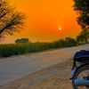 ساڈا  پنجاب 🌾🌿