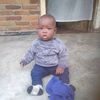 user4811431661131