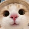 thet.chan.nisai