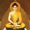 tonglinh2001
