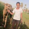 mohammed.hassanin65