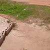 ametogologo